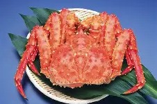 包含M-爱游戏体育app