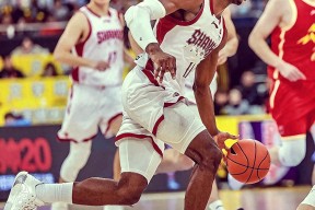 关于新奥尔良鹈鹕清晨强势反弹，志在NBA常规赛名次提升，赛场秩序良好，高层口径保持一致的信息-爱游戏体育